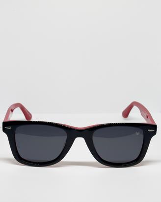 Lentes de sol