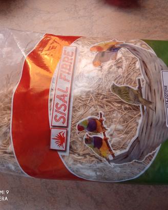 Materiale per nido juta e cotone sisal fibre 