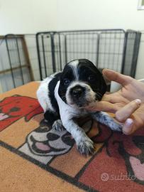 Abbiamo aperto gli occhi