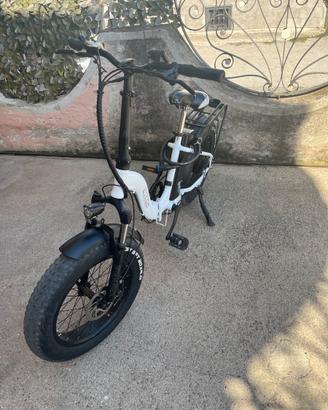 bicicletta elettrica