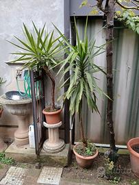 tronchetti della felicità 