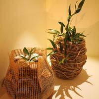 Coppia Uova di Pasqua- Stile  Wabi-Sabi giapponese