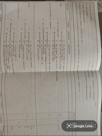 Cuccioli di setter inglese