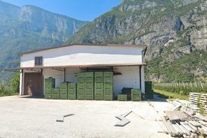 A nord di Lavis, capannone