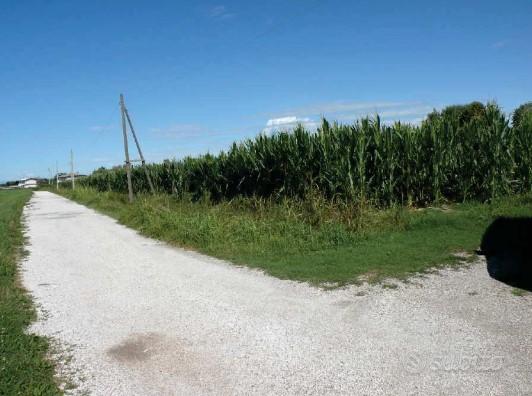 Vendita all'asta - terreno agricolo/edificabile in