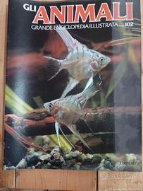 Grande Enciclopedia Illustrata Gli Animali