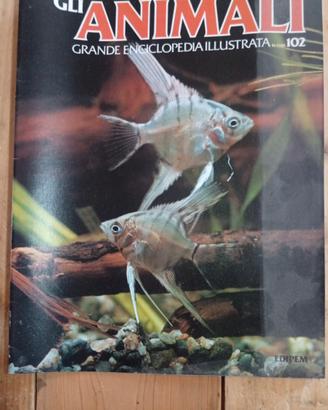 Grande Enciclopedia Illustrata Gli Animali