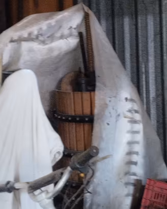 cisterne in vetroresina e vasconi per mosto