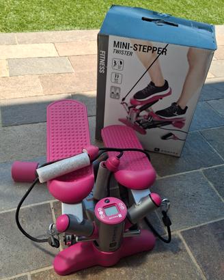Mini step