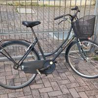 Bicicletta da donna funzionante