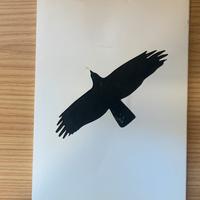 Stephen King - the black house - ARC