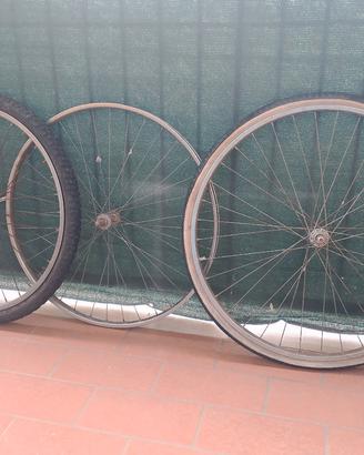cerchioni tg 26