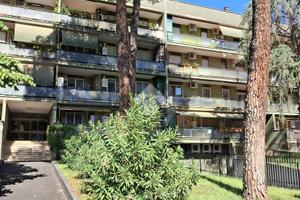 2 LOCALI A ROMA