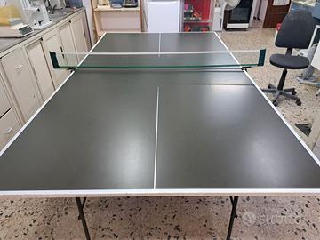 Tavolo da ping pong