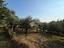 Immagine 7