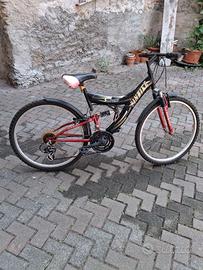Mountain Bike ruota 26
