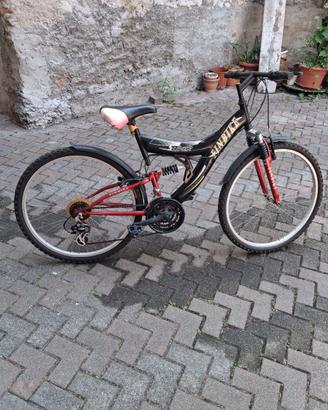 Mountain Bike ruota 26