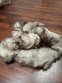 stola volpe argentata