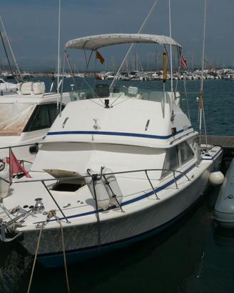 Bertram 28 FBC