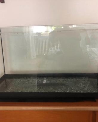 Acquario con filtro e riscaldatore