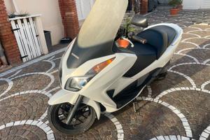 Scooter forza 300