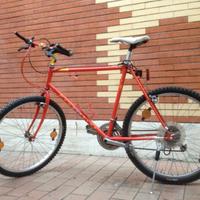 RAMPICHINO COUNTRY AIRONE, della CINELLI