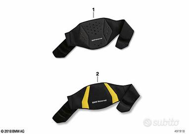 Cintura salvareni Pro nelle taglie M - XL