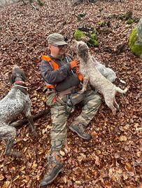 Addestramento cani da tartufo