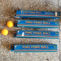 Set Palle di Ping Pong 