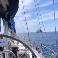Barca a vela 12 metri