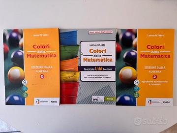 Colori della Matematica 2 + Fascicolo biennio