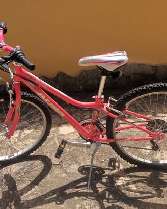 Bici Atala butterfly 24 