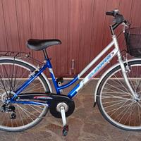 Citybike ruote da 28