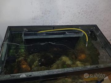 Acquario completo