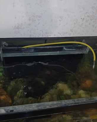 Acquario completo