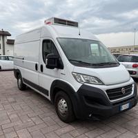 Fiat ducato frigo