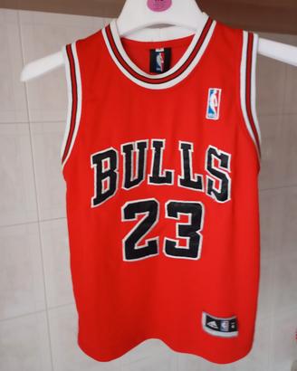Canotta Bulls 23 Jordan 6/12 anni 
