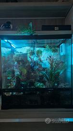 terrario bioattivo