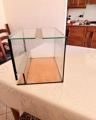 Terrario in vetro