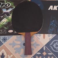 racchetta da ping pong 
