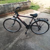 Citybike uomo