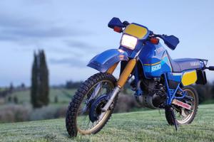 Yamaha XT 600 TENERE' 1VJ 1987