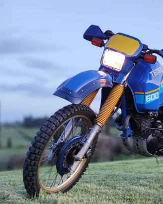 Yamaha XT 600 TENERE' 1VJ 1987