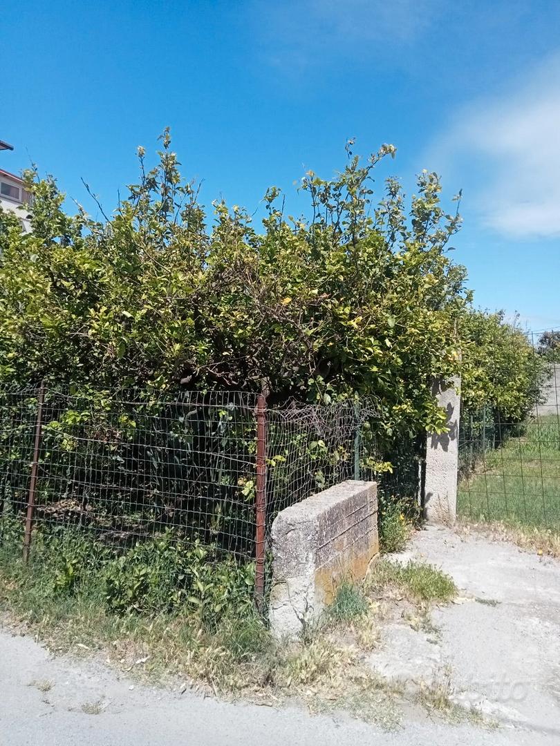 Terreno agricolo - Vista 4