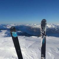 Sci scialpinismo Movement Logic X Series - Dynafit