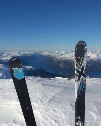 Sci scialpinismo Movement Logic X Series - Dynafit