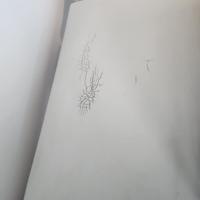 Lettino da massaggio