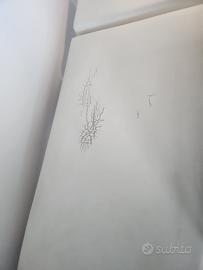 Lettino da massaggio