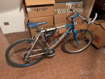 Bicicletta mountain bike