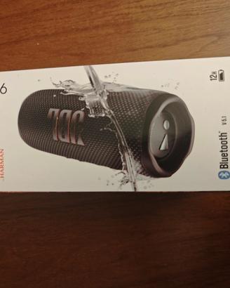 Cassa JBL Flip 6
